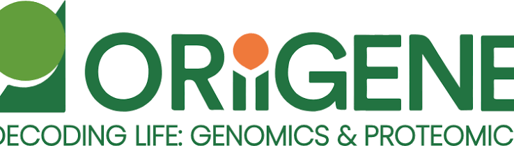 ADIPOQ MOUSE MONOCLONAL ANTIBODY