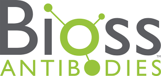 ADENOSINE DEAMINASE POLYCLONAL AB, FITC
