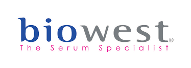 HORSE SERUM HEAT INACTIVATED - 100ML, UoM: 1 * 100 mL