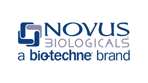 Rabbit Polyclonal FOXP3 Antibody [Biotin], UoM: 1 * 0,1 mL